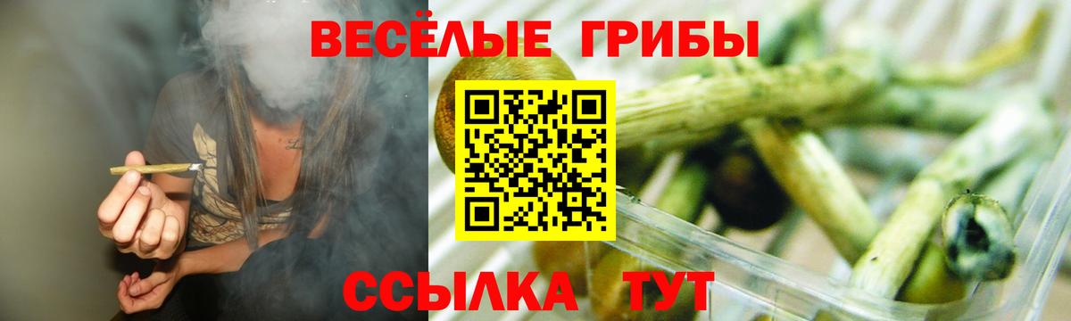 дарнет шоп  Галлюциногенные грибы GOLDEN TEACHER  Вход с VPN  Ефремов 
